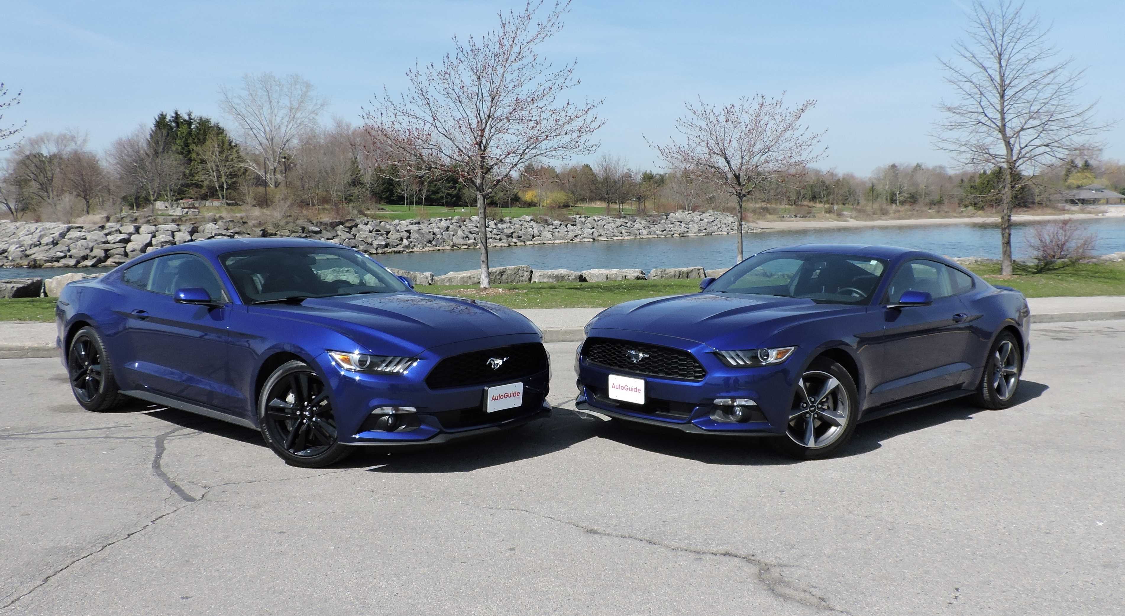 Ford mustang - история модели авто, автомобиль форд мустанг и его характеристики