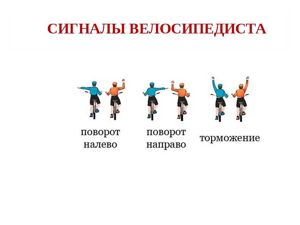 Правила дорожного движения для велосипедистов 2020