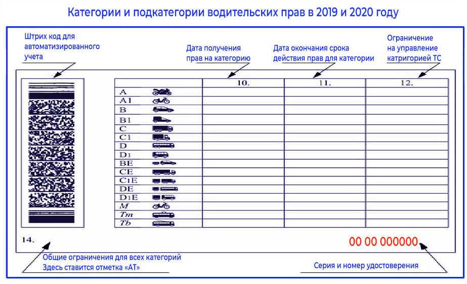 Что такое в1 в водительском удостоверении нового образца