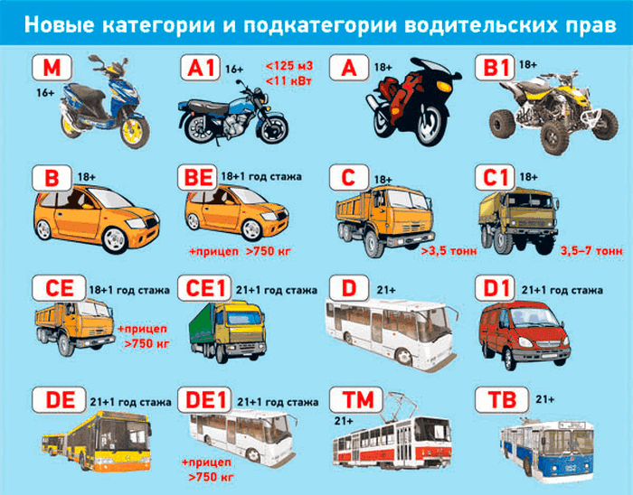 Что означает м в правах водителя нового образца