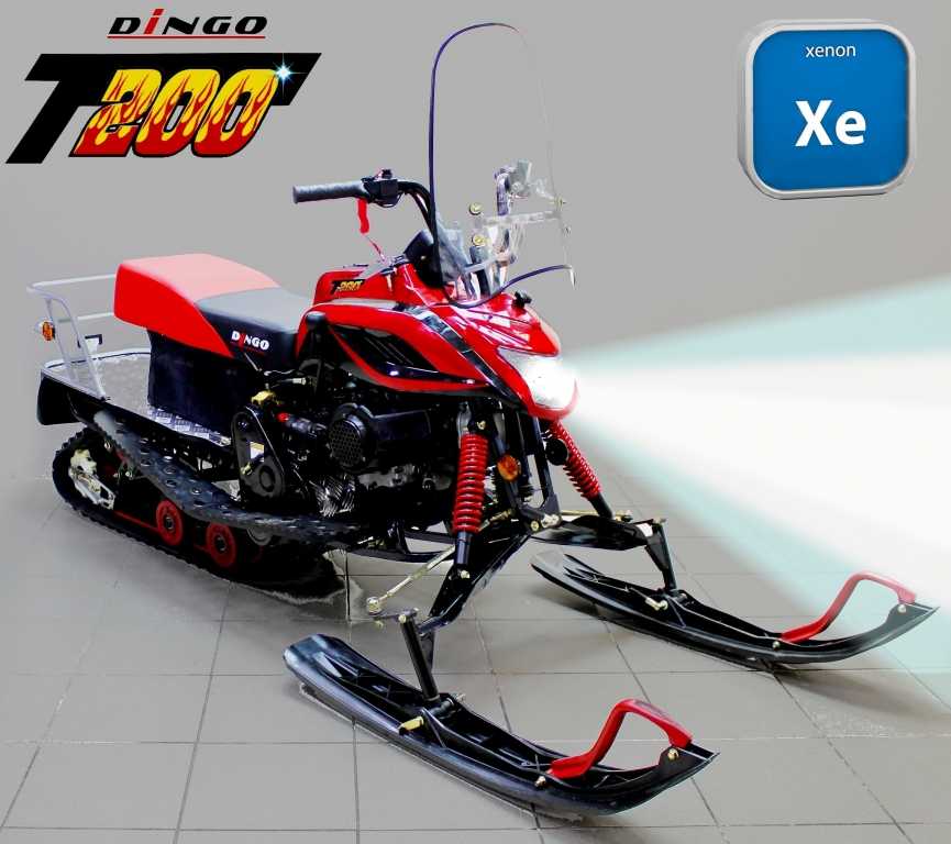 Динго 150 технические характеристики. снегоход t150 dingo