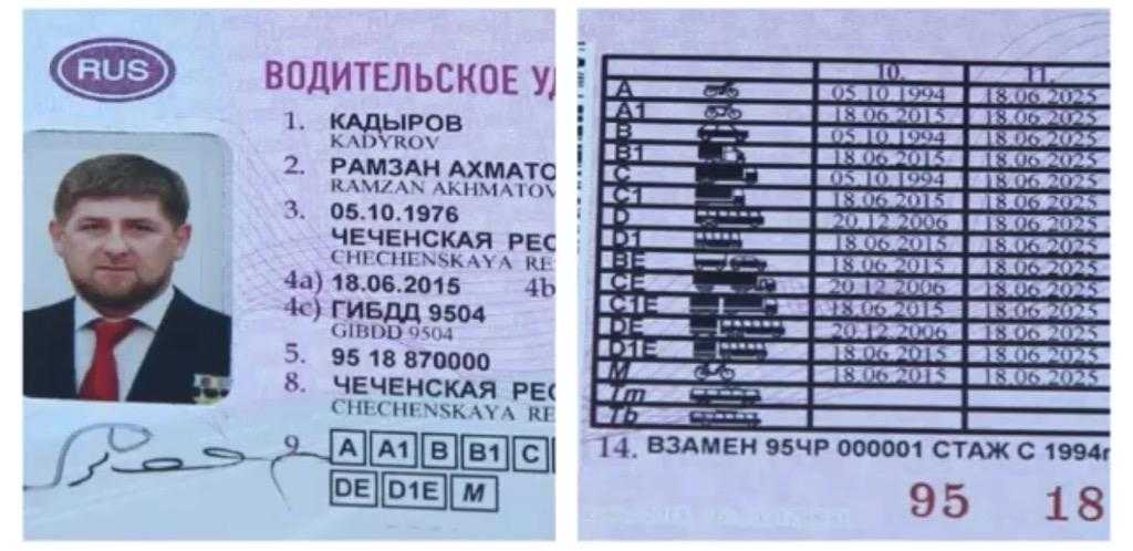 Как открыть категорию м, если есть в, особенности возрастных ограничений