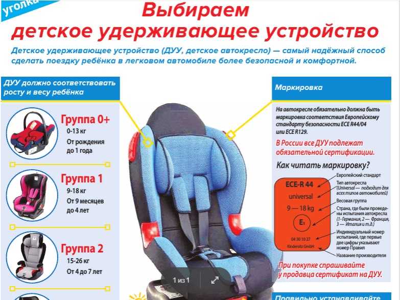 Лучшие детские велокресла - рейтинг 2022