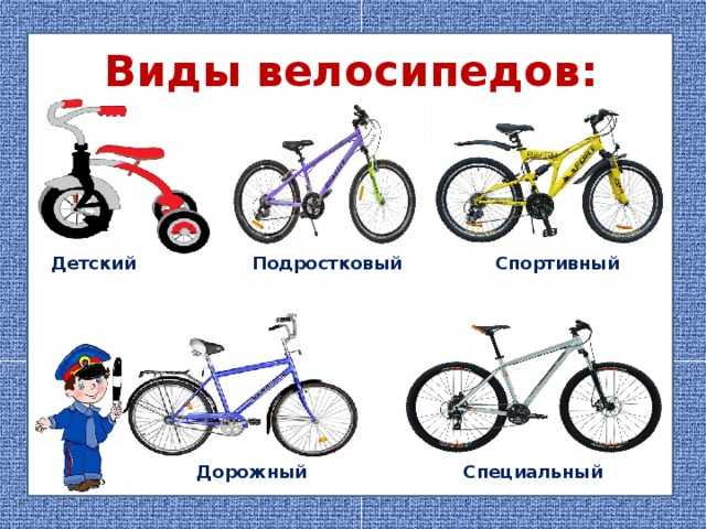 Как отличить велосипеды. Виды велосипедов. Велосипеды по видам. Разные типы велосипедов. Велосипеды по типу.