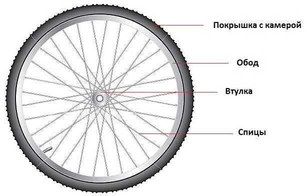 На рисунке изображено колесо с 5 спицами