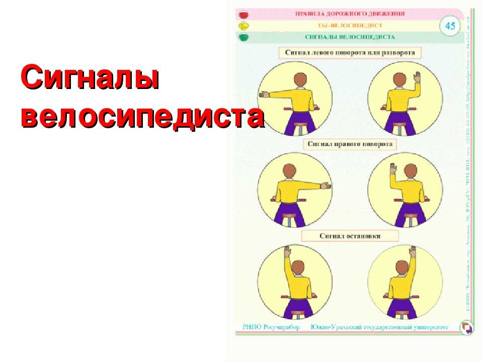 Сигналы поворота рукой в картинках