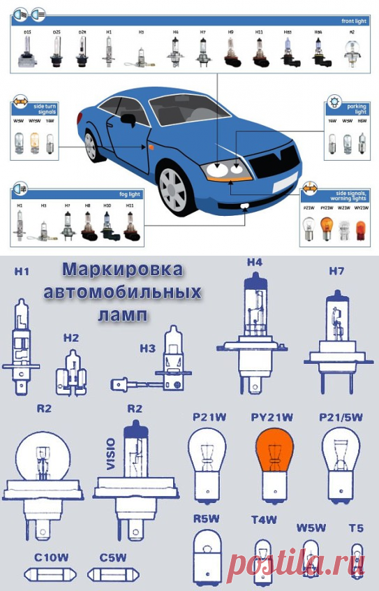 Каталог автолам. Автолампы цоколи маркировка. Тип цоколя противотуманных ламп Тойота. Цоколь лампы p21/5w. Цоколь габаритов для лампочки Ауди 80.