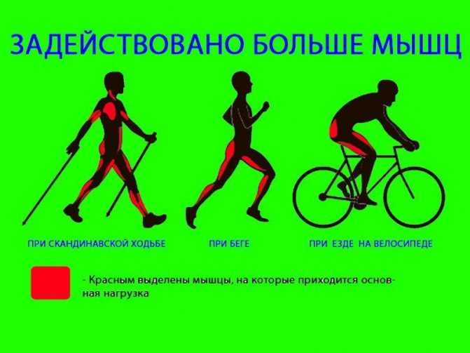 Можно ли накачать попу ездой на велосипеде и как накачать ягодицы на велотренажере | adrenalin-sport.ru