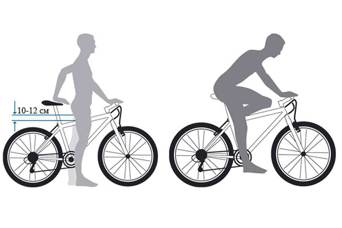 Как выбрать велосипед для мужчин: рейтинг и обзор лучших + отзывы покупателей
