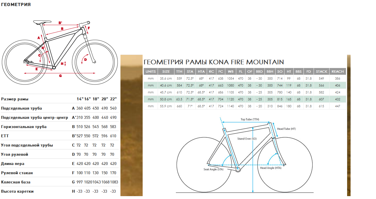 Размер рамы велосипеда l. Велосипедная таблица Размеры велосипедная. Велосипед форвард 24 дюйма размер рамы велосипеда. Ростовка рам велосипедов stels. Размер рамы МТБ 21.