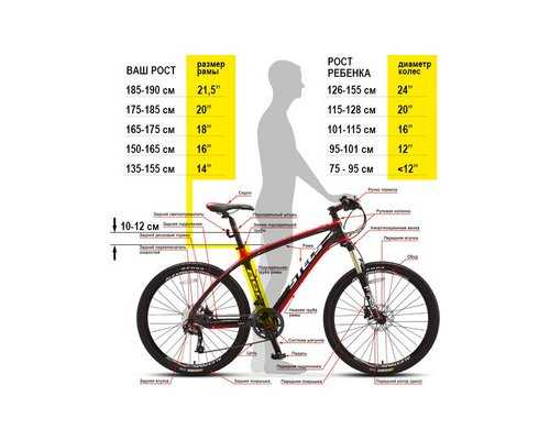 ✅ велосипед «орленок»: характеристики и особенности, комплектация - велосипеды-саранск.рф